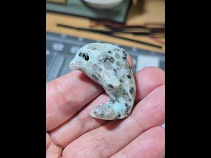 Kiwi Jasper Dolphin Carving
