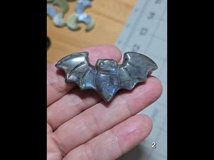 #2 Labradorite Bat Carving