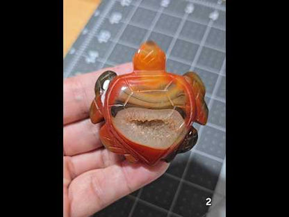 #2 Carnelian Druzy Sea Turtle