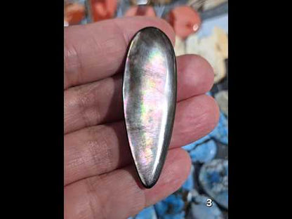 #3 Black Lip Mother-of-Pearl