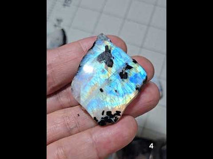 #4 Rainbow Moonstone Slice w/Black Tourmaline