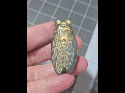 Labradorite Cicada