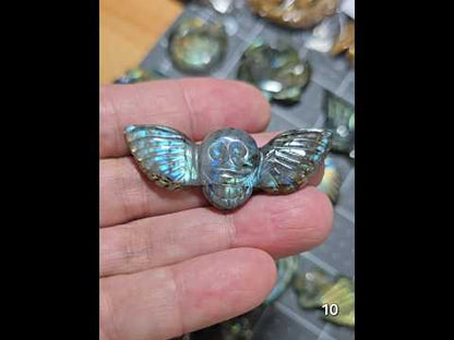 #10 Carved Winged Skull Labradorite Cabochon