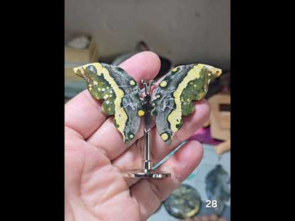 #28 Ocean Jasper Butterfly Wing Carving
