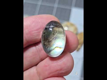 #2 Abalone Doublet