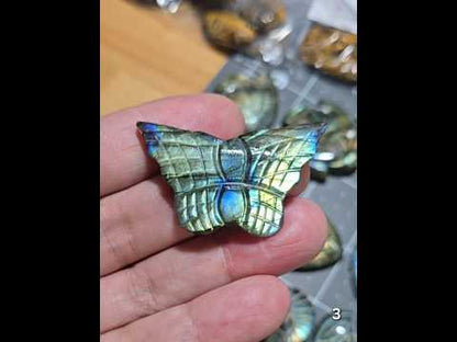 #3 Carved Butterfly Labradorite Cabochon