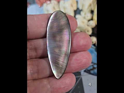 #4 Black Lip Mother-of-Pearl