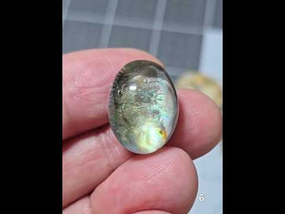 #6 Abalone Doublet
