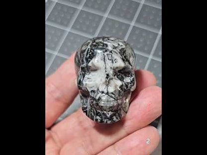 #2 Fossil Stone Skull