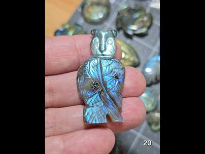 #20 Carved Owl Labradorite Cabochon
