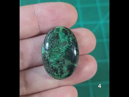 #4 Velvet Malachite