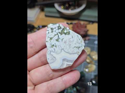 #13 Crazy Lace Agate Slice