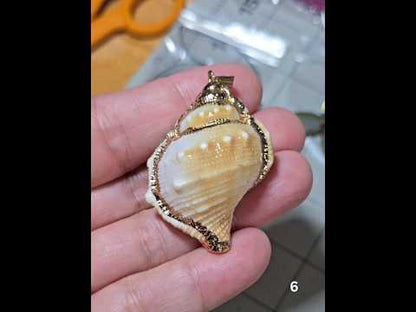 #6 Gold Electroplated Conch Shell