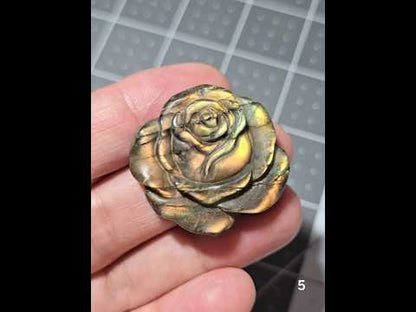#5 Labradorite Rose