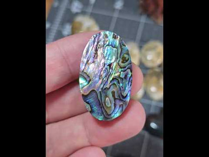 #4 Abalone Shell