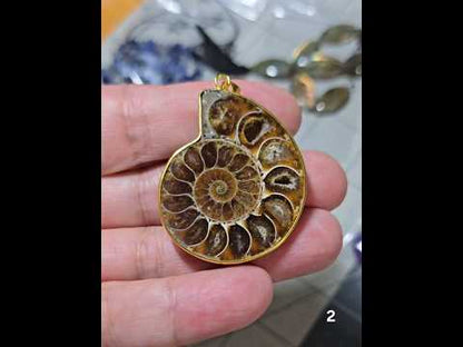 #2 Ammonite Fossil in Gold Pendant
