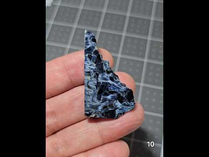 #10 Collector Statement Pietersite Slice