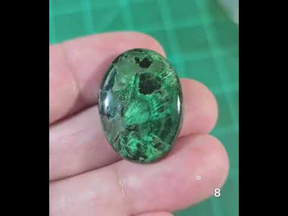 #8 Velvet Malachite