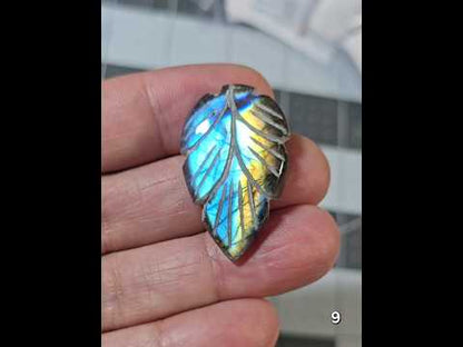#9 Carved Leaf Labradorite Cabochon