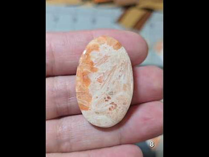 #8 Scolecite with Peach Stilbite