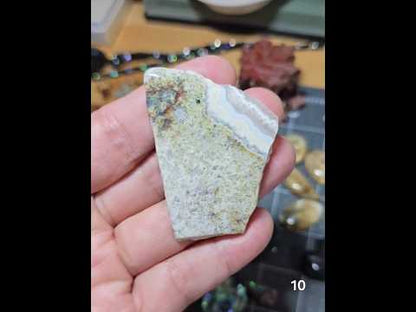#10 Crazy Lace Agate Slice