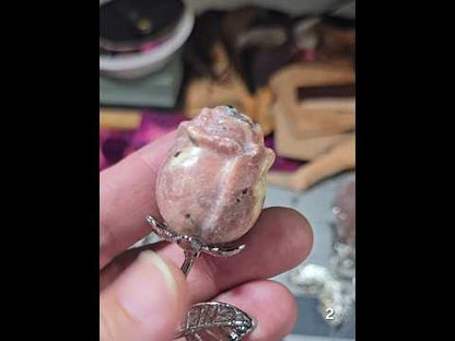 #2 Peach Blossom Jasper Rose
