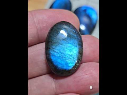 #8 Blue Fire Labradorite