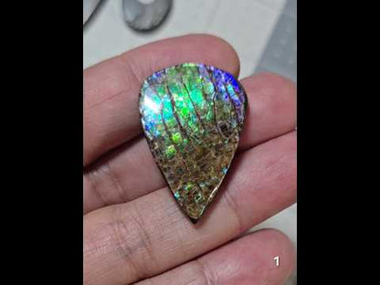 #1 Ammolite 8.6g