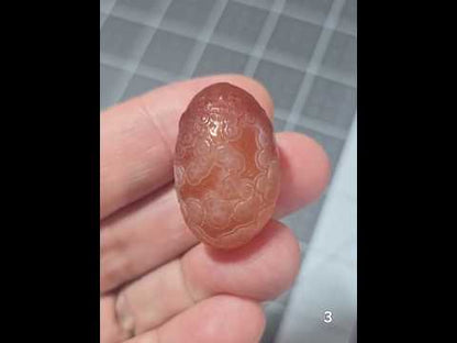 #3 Gobi Agate Palm Stone