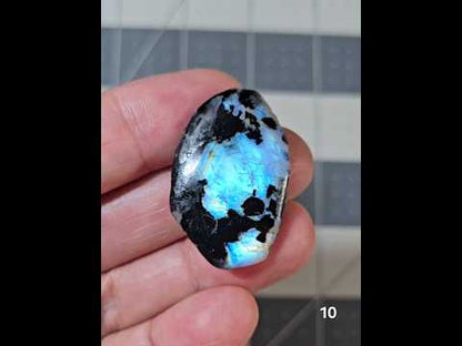 #10 Rainbow Moonstone Slice w/Black Tourmaline