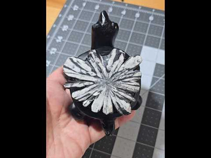 Midnight Bloom Chrysanthemum Turtle Carving