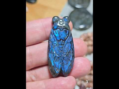 #3 Labradorite Cicada Carving