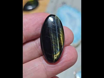 #8 Blue Tiger Eye
