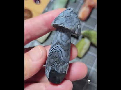 #9 Gobi Agate Mushroom