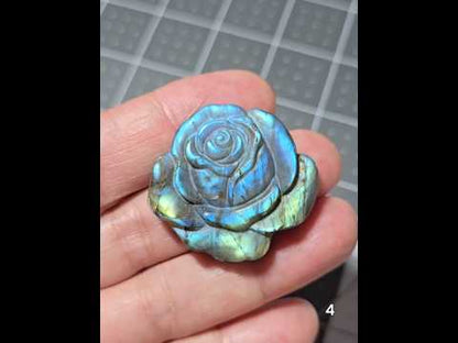 #4 Labradorite Rose