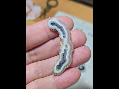 #4 Moss Agate Stalactite Slice