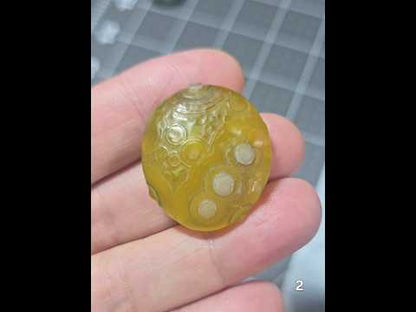 #2 Gobi Agate Palm Stone