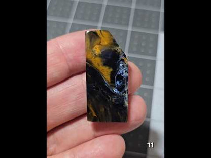 #11 Collector Statement Pietersite Slice