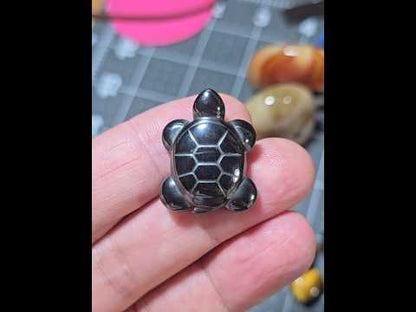 Carved Hematite Turtle Beads