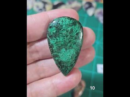 #10 Velvet Malachite