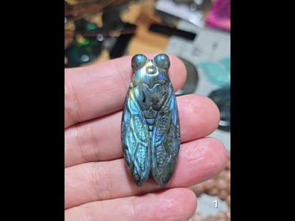 #1 Labradorite Cicada Carving
