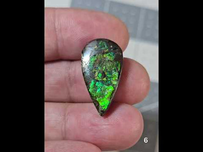 #6 Ammolite 4.2g