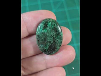 #7 Velvet Malachite