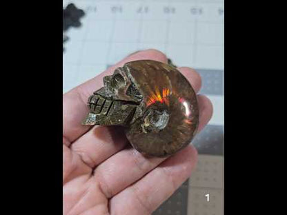 #1 Carved Iridescent Ammonite Skull Display Specimen