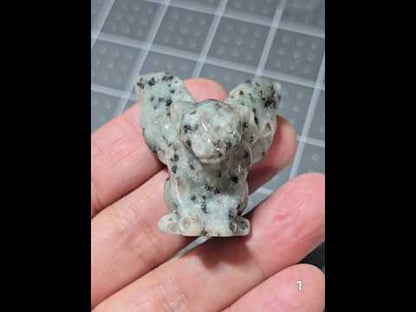 #1 Kiwi Jasper Gargoyle