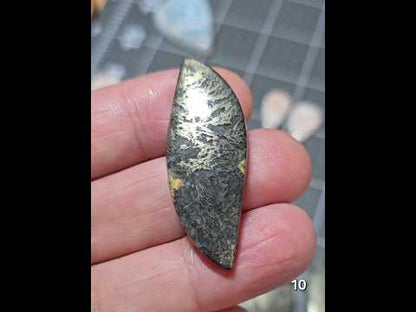 #10 Feather Pyrite