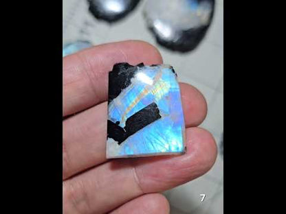 #7 Rainbow Moonstone Slice w/Black Tourmaline