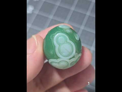 #1 Gobi Agate Palm Stone