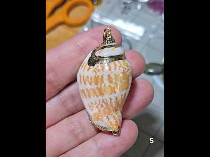 #5 Gold Electroplated Conch Shell