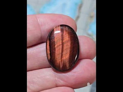 #8 Red Tiger Eye